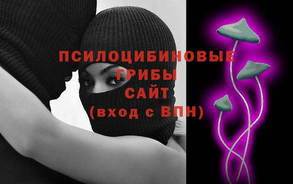 гидра Арсеньев