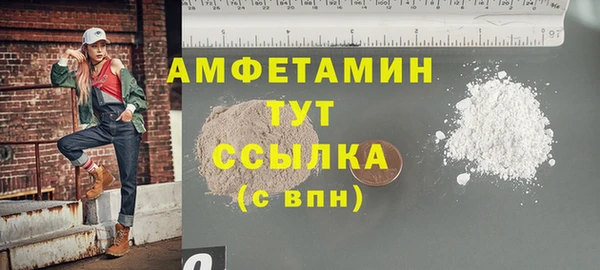 гидра Арсеньев