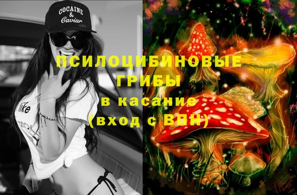 дмт Алексеевка