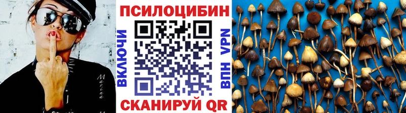 сколько стоит  дарк нет как зайти  Псилоцибиновые грибы ЛСД  Ярцево 